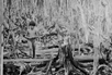 65 years since Agent Orange disaster: Viet Nam steps up long-term victim support